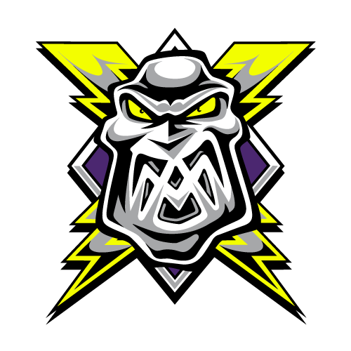 Manchester Storm