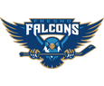 Fresno Falcons