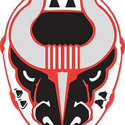 Birmingham Bulls